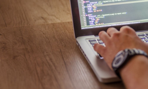 frontend-fejlesztes-munka